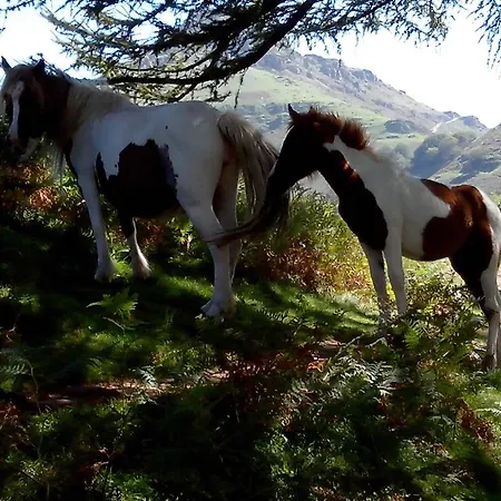 Pays Basque - Maison Lucie Апартаменты Биарриц